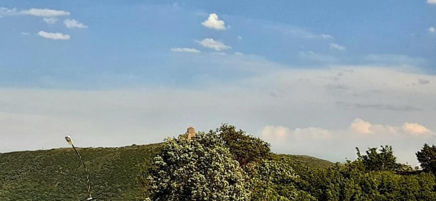 Dream House Ξενοδοχείο Mtsʼkhetʼa Εξωτερικό φωτογραφία